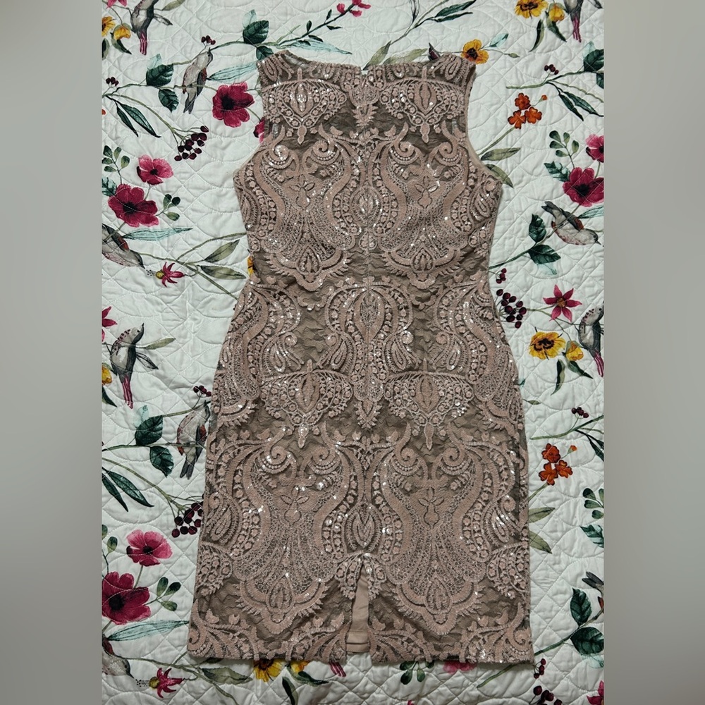 NWT Calvin Klein Taupe Lace and Sequin Midi Dress